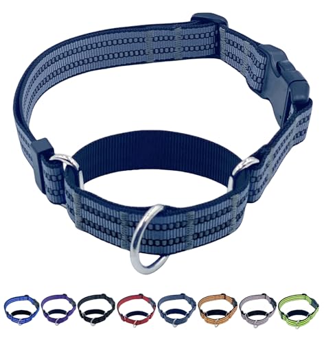QICHENMAO Martingale Hundehalsbänder mit Schnellverschluss-Schnalle, strapazierfähiges, reflektierendes Nylon, kein Ziehen, Spazierengehen, Trainingshalsband für große, mittelgroße und kleine Hunde QICHENMAO Martingale Hundehalsbänder mit Schnellverschluss-Schnalle, strapazierfähiges, reflektierendes Nylon, kein Ziehen, Spazierengehen, Trainingshalsband für große, mittelgroße und kleine Hunde von QICHENMAO