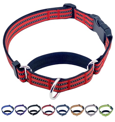 QICHENMAO Martingale Hundehalsbänder mit Schnellverschluss-Schnalle, strapazierfähiges Nylon, reflektierend, kein Ziehen, Spazierengehen, Trainingshalsband für große, mittelgroße und kleine Hunde QICHENMAO Martingale Hundehalsbänder mit Schnellverschluss-Schnalle, strapazierfähiges Nylon, reflektierend, kein Ziehen, Spazierengehen, Trainingshalsband für große, mittelgroße und kleine Hunde von QICHENMAO