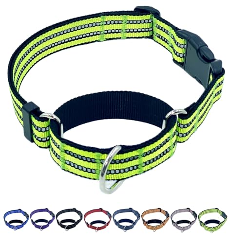 QICHENMAO Martingale Hundehalsbänder mit Schnellverschluss-Schnalle, strapazierfähiges Nylon, reflektierend, kein Ziehen, Spazierengehen, Trainingshalsband für große, mittelgroße und kleine Hunde QICHENMAO Martingale Hundehalsbänder mit Schnellverschluss-Schnalle, strapazierfähiges Nylon, reflektierend, kein Ziehen, Spazierengehen, Trainingshalsband für große, mittelgroße und kleine Hunde von QICHENMAO