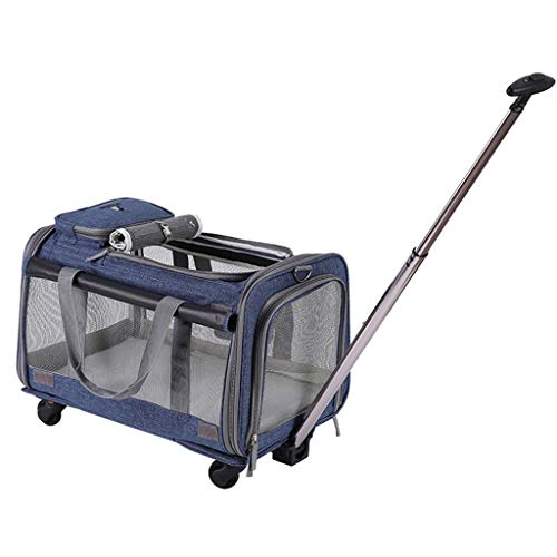 QIFFIY Hunderucksack Haustier-Rucksack Transparent Trolley-Tasche Tragbare Breathlüftungsnetztasche Reise Hund Katze Tragetasche Pet Trolley Hundetasche (Color : B) von QIFFIY