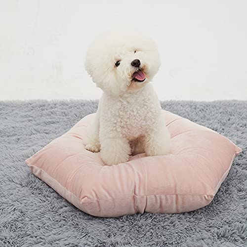 QIFFIY Katzenhaus Haustier Hund Bett Weiche Winterkatze Matte Welpenhaus for kleine mittlere Hund Warme Beste Samt Nest Sofa Katzenhöhle (Color : Pink, Größe : Medium) von QIFFIY