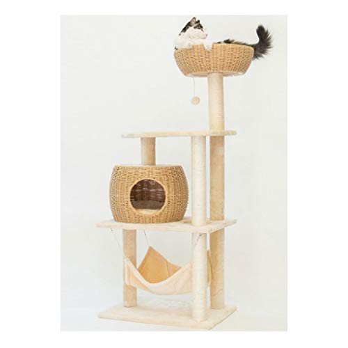 QIFFIY Kratzbaum Cat Spielzeug-Haus-Bett-hängende Bälle Baum Kitten Möbel Scratchers Massivholz for Katzen Klettergerüst Cat Condos Katzenbaum (Color : Beige) von QIFFIY