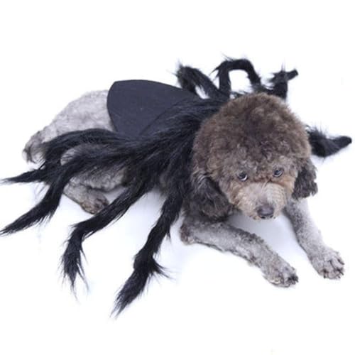 QILTON Schwarze Spinne Spielzeug Hund Haustier Dekoration Gruselige Kinder Haustiere Spinne Schwarz Lustige Spielzeug Halloween Gadgets Spielzeug A8g6 von QILTON