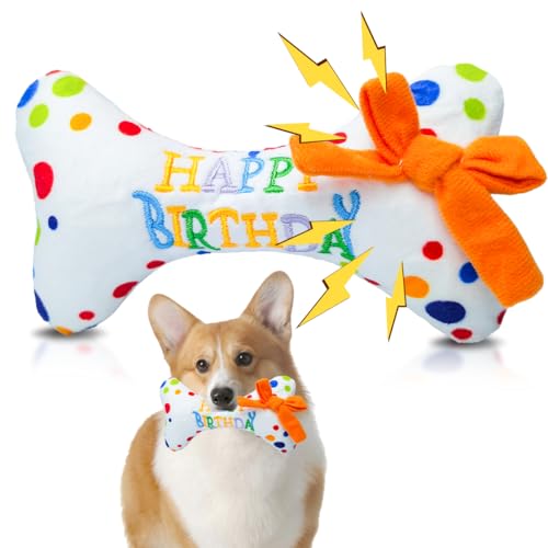 QIMMU Hund Geburtstag Spielzeug, Hundegeburtstag Plüschtier Knochen, Hund Geburtstag Geschenk, Weich Plüsch-Quietschspielzeug für Hunde Haustiere (1PCS) von QIMMU