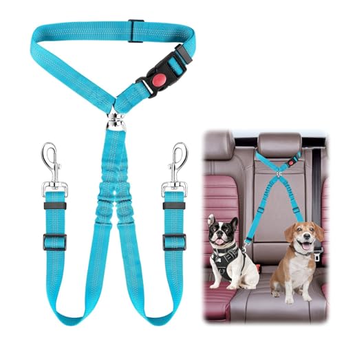 QINGYIWL Doppelter Anschnallgurt Hund Auto, 2 in 1 Sicherheitsgurt Hunde für Auto, Verstellbarer Hundegurt fürs Auto für Kleine & Mittlere Hunde QINGYIWL Doppelter Anschnallgurt Hund Auto, 2 in 1 Sicherheitsgurt Hunde für Auto, Verstellbarer Hundegurt fürs Auto für Kleine & Mittlere Hunde von QINGYIWL