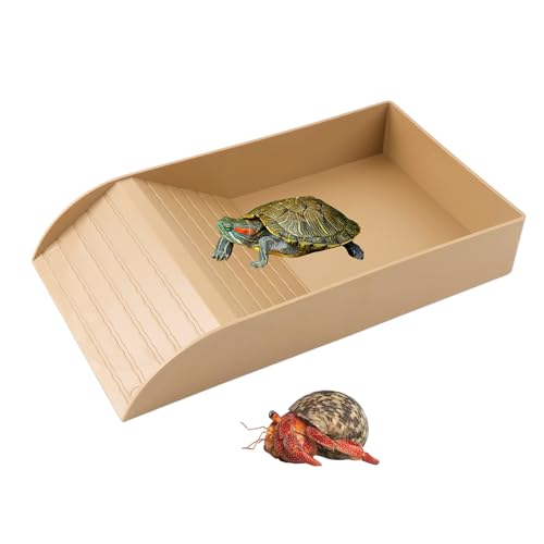 QINGYIWL Wasserbecken für Schildkröten mit Kletterrampe, Schildkröten Zubehör für Reptilientanks, Reptilien-Badebecken, Große Aquariumkäfigzubehör für Reptilien, Amphibien(35,5 × 20 × 6 cm) von QINGYIWL