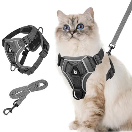 Air-Mesh Atmungsaktiv Brustgeschirr, Verstellbares Katzengeschirr mit 1,5m Leine, Reflektierend Weich Gepolstert Hunde Geschirr, Ausbruchsicher Hund Geschirr für Welpen Hase Katze (M) von QINGZY