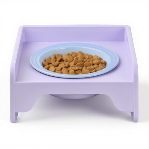 Erhöhter Futternapf Katze & Hundenapf aus Keramik mit Ständer, Futterstation für Katzen & Kleine Hunde, Katzenfutter Napf rutschfest, Fressnapf und Wassernapf von QINGZY