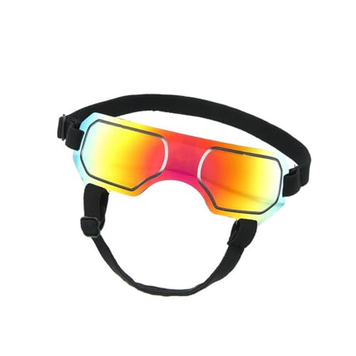 QINZITAO Bunte Haustier-Sonnenbrille, coole Tierbrille, schöne modische Haustier-Sonnenbrille für kleine Hunde und Welpen von QINZITAO