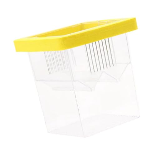 QINZITAO Zuchtbecken für Aquarium Kleinfische Isolationsbox Brutkasten für Fische Klar Fisch Laichkasten QINZITAO Zuchtbecken für Aquarium Kleinfische Isolationsbox Brutkasten für Fische Klar Fisch Laichkasten von QINZITAO