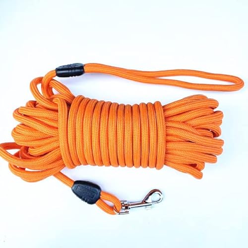 QIUMING 1 Stück 5 m/10 m/15 m Lange Seil-Trainings-Hundeleine – robuste Nylon-Rückruf-Haustier-Tracking-Linie – für kleine und mittelgroße Hunde beim Training im Freien, Camping QIUMING 1 Stück 5 m/10 m/15 m Lange Seil-Trainings-Hundeleine – robuste Nylon-Rückruf-Haustier-Tracking-Linie – für kleine und mittelgroße Hunde beim Training im Freien, Camping von QIUMING