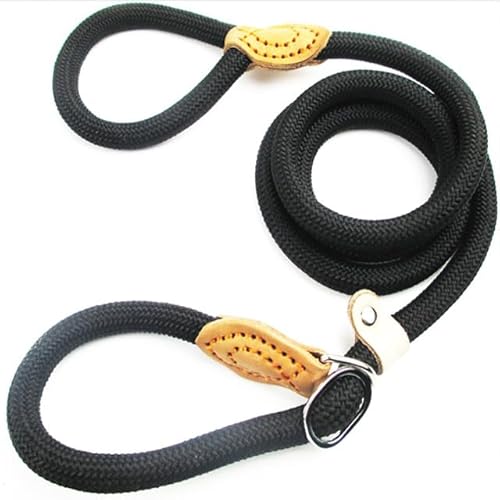 QIUMING 1 Stück Hundewelpenleine, Verstellbarer Ringkragen, Haustier-Trainingsleine für mittelgroße und große Hunde, Gleitseil, Leine, geflochtenes Seil, Hundehalsbänder QIUMING 1 Stück Hundewelpenleine, Verstellbarer Ringkragen, Haustier-Trainingsleine für mittelgroße und große Hunde, Gleitseil, Leine, geflochtenes Seil, Hundehalsbänder von QIUMING