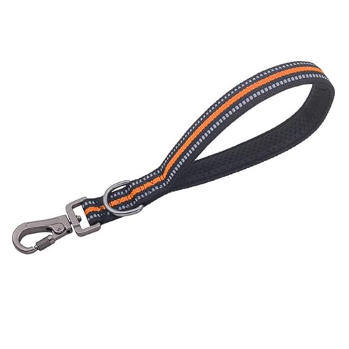 QIUMING 1 Stück Kurze Hundeleine mit Netzgriff, Kurze Leine für einen Hund, reflektierende Schritt-Traktion, große Hundeleinen, Kurze Leine für einen großen Hund, kurzes Seil QIUMING 1 Stück Kurze Hundeleine mit Netzgriff, Kurze Leine für einen Hund, reflektierende Schritt-Traktion, große Hundeleinen, Kurze Leine für einen großen Hund, kurzes Seil von QIUMING