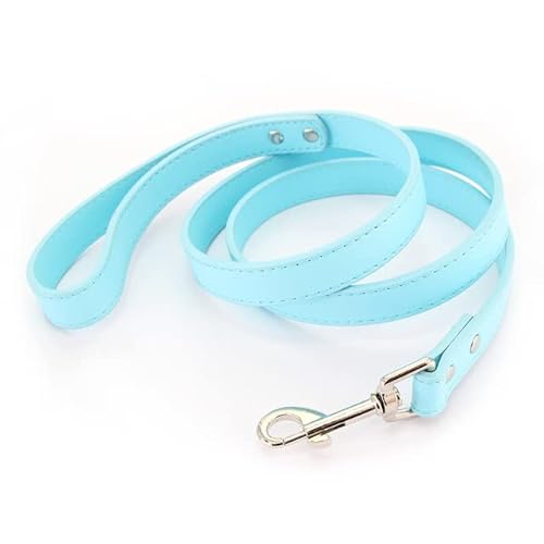 1 Stücke Hundeleine Soild Farbe Leder Pet Walking Training Führt Für Small Medium Large Hunde Katze Im Halsband Und Geschirr 120 cm von QIUMING