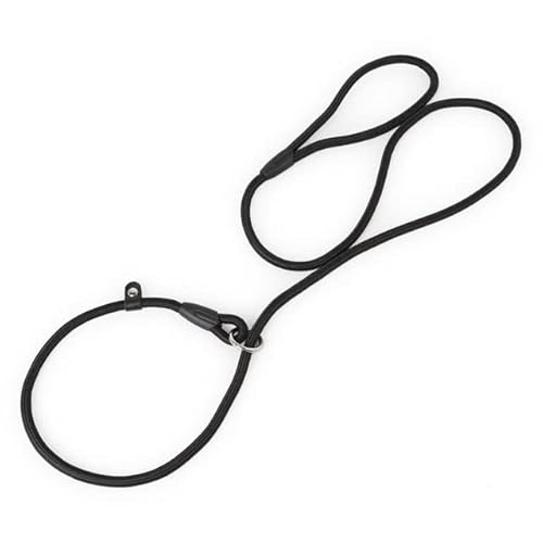 QIUMING Haustier-Welpen-Hundeleine, Slip-Seil-Leine, Nylon-Slip-Ketten, Halsband, kein Ziehen, Trainingsleine für kleine Hunde, Schwarz, Rot, Blau QIUMING Haustier-Welpen-Hundeleine, Slip-Seil-Leine, Nylon-Slip-Ketten, Halsband, kein Ziehen, Trainingsleine für kleine Hunde, Schwarz, Rot, Blau von QIUMING