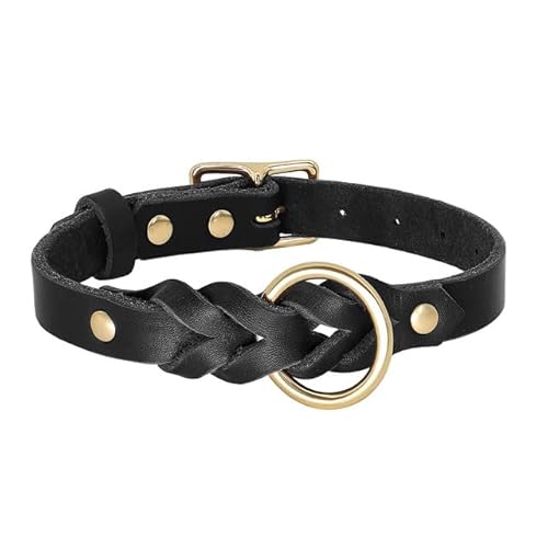QIUMING Hundehalsband-Leine-Set aus echtem Leder, geflochtenes, langlebiges Leder-Hundehalsband für mittelgroße und große Hunde, Deutscher Schäferhund, Haustierzubehör QIUMING Hundehalsband-Leine-Set aus echtem Leder, geflochtenes, langlebiges Leder-Hundehalsband für mittelgroße und große Hunde, Deutscher Schäferhund, Haustierzubehör von QIUMING