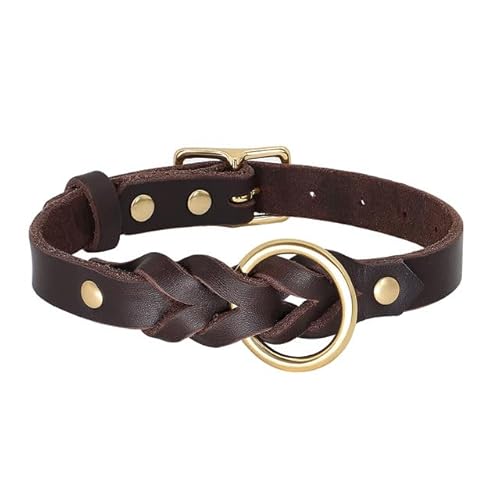 QIUMING Hundehalsband-Leine-Set aus echtem Leder, geflochtenes, langlebiges Leder-Hundehalsband für mittelgroße und große Hunde, Deutscher Schäferhund, Haustierzubehör QIUMING Hundehalsband-Leine-Set aus echtem Leder, geflochtenes, langlebiges Leder-Hundehalsband für mittelgroße und große Hunde, Deutscher Schäferhund, Haustierzubehör von QIUMING