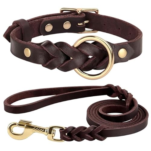 QIUMING Hundehalsband-Leine-Set aus echtem Leder, geflochtenes, langlebiges Leder-Hundehalsband für mittelgroße und große Hunde, Deutscher Schäferhund, Haustierzubehör QIUMING Hundehalsband-Leine-Set aus echtem Leder, geflochtenes, langlebiges Leder-Hundehalsband für mittelgroße und große Hunde, Deutscher Schäferhund, Haustierzubehör von QIUMING