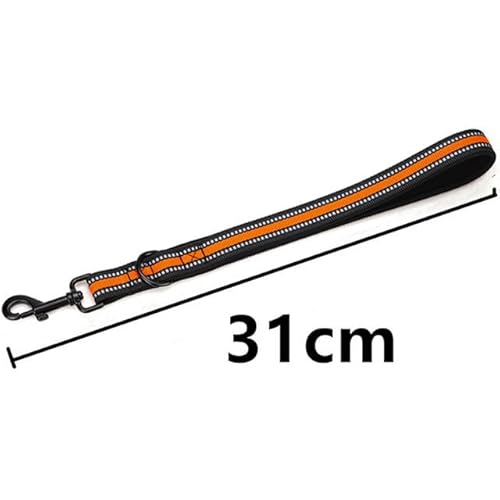 QIUMING Hundeleine, Kurze Hundeleine, reflektierende Leinen für große Hunde, zum Spazierengehen, Nylon, kurzes Seil, für Hunde, Reisen, Haustierkette QIUMING Hundeleine, Kurze Hundeleine, reflektierende Leinen für große Hunde, zum Spazierengehen, Nylon, kurzes Seil, für Hunde, Reisen, Haustierkette von QIUMING