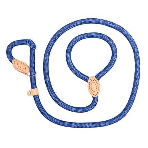 QIUMING Hundeleine, Rutschseil, Leine, strapazierfähig, geflochtenes Seil, verstellbare Schlaufe, Halsband, Trainingsleinen für große Hunde QIUMING Hundeleine, Rutschseil, Leine, strapazierfähig, geflochtenes Seil, verstellbare Schlaufe, Halsband, Trainingsleinen für große Hunde von QIUMING
