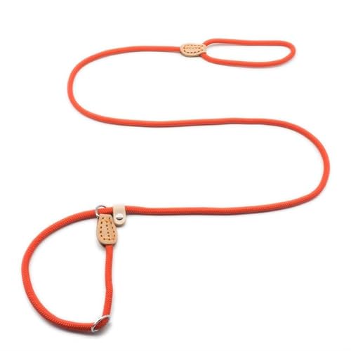 QIUMING Hundeleine Slip Collar Pet Walking Leads Nylon Hund Bergsteigen Seil Welpen Haustier Traktion für kleine, mittelgroße und große Hunde von QIUMING