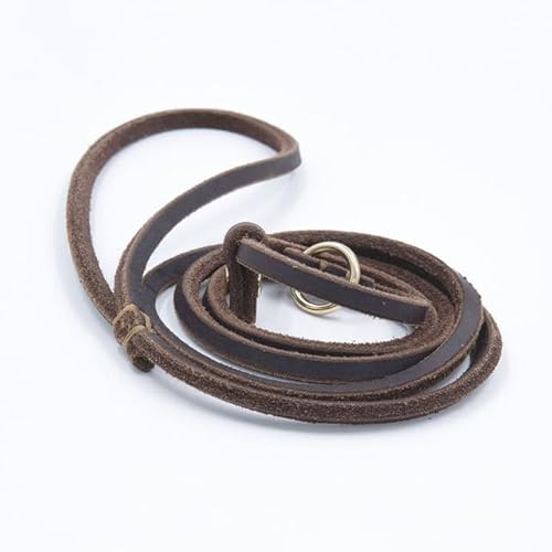 QIUMING Hundeleine aus echtem Leder, Hundeleine, Trainingsleine, Cinch-Leine für kleine Hunde, Katzen, rutschfeste Leine und Halsband für Welpen QIUMING Hundeleine aus echtem Leder, Hundeleine, Trainingsleine, Cinch-Leine für kleine Hunde, Katzen, rutschfeste Leine und Halsband für Welpen von QIUMING
