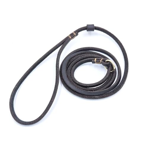QIUMING Hundeleine aus echtem Leder, Hundeleine, Trainingsleine, Cinch-Leine für kleine Hunde, Katzen, rutschfeste Leine und Halsband für Welpen QIUMING Hundeleine aus echtem Leder, Hundeleine, Trainingsleine, Cinch-Leine für kleine Hunde, Katzen, rutschfeste Leine und Halsband für Welpen von QIUMING