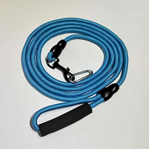 QIUMING Outdoor Lange Hundeleine Haustier Welpe Gehorsam Rückruf Training Agility Leine 5m 10m Sichere Leine für Hundetraining Spazierengehen Spielen Camping QIUMING Outdoor Lange Hundeleine Haustier Welpe Gehorsam Rückruf Training Agility Leine 5m 10m Sichere Leine für Hundetraining Spazierengehen Spielen Camping von QIUMING