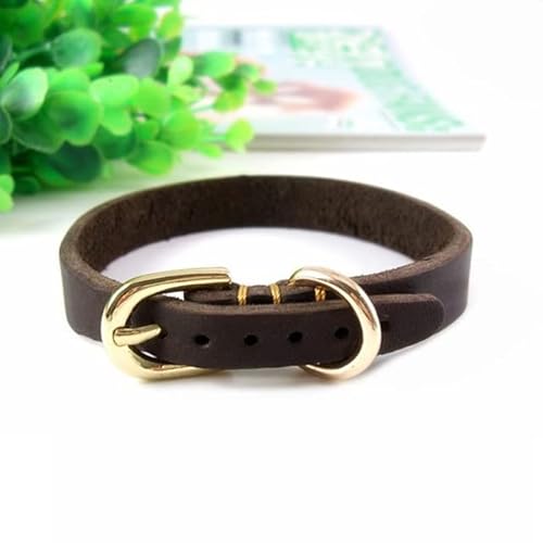 QIUMING Mittleres und kleines Hundehalsband, Hundehalsband aus echtem Leder, verstellbar, weiches braunes Echtleder-Welpenhalsband für Pudel, Haustier, Katzenhalsband QIUMING Mittleres und kleines Hundehalsband, Hundehalsband aus echtem Leder, verstellbar, weiches braunes Echtleder-Welpenhalsband für Pudel, Haustier, Katzenhalsband von QIUMING
