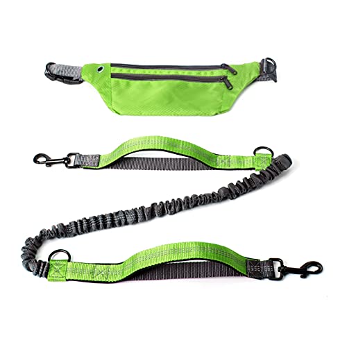 QIUYMGFG Hundeleine Verstellbare Führleine Jogging Training Wandern Retractable Bungee Dog Waist Leash für große Hunde Zubehör(Green Set with Hand) von QIUYMGFG