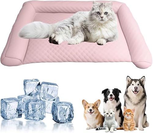 QIXUJAK Hundekühlmatte, Ganzjahres-Universal-Hundekühldecke, Sommerkühlmatte, Hundematte und Hundekühlmatte, Geeignet für Zuhause, Ausflug oder im Auto, Wasserdicht und Faltbar (Rosa,M 60 * 35cm) QIXUJAK Hundekühlmatte, Ganzjahres-Universal-Hundekühldecke, Sommerkühlmatte, Hundematte und Hundekühlmatte, Geeignet für Zuhause, Ausflug oder im Auto, Wasserdicht und Faltbar (Rosa,M 60 * 35cm) von QIXUJAK