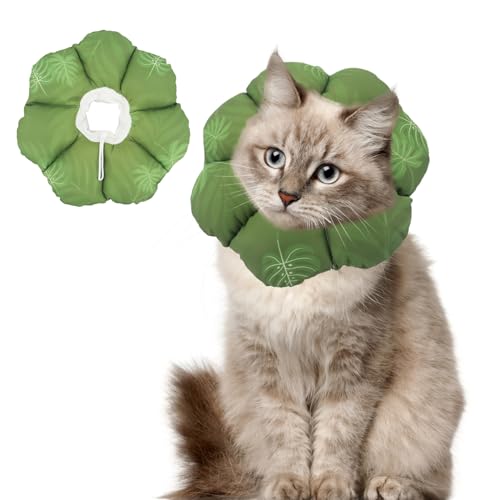 QIYADIN Weiches Katzenhalsband, verstellbare Katzen-Genesungskegel, um das Lecken von Wunden zu stoppen, wasserdichtes Haustier-Elisabethanisches Genesungshalsband für Katzen nach Operationen (grünes von QIYADIN