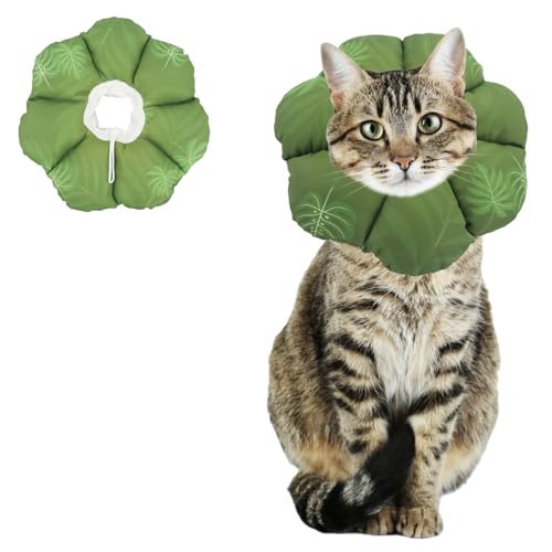 QIYADIN Weiches Katzenhalsband, verstellbare Katzen-Genesungskegel, um das Lecken von Wunden zu stoppen, wasserdichtes Haustier-Elisabethanisches Genesungshalsband für Katzen nach Operationen (grünes von QIYADIN