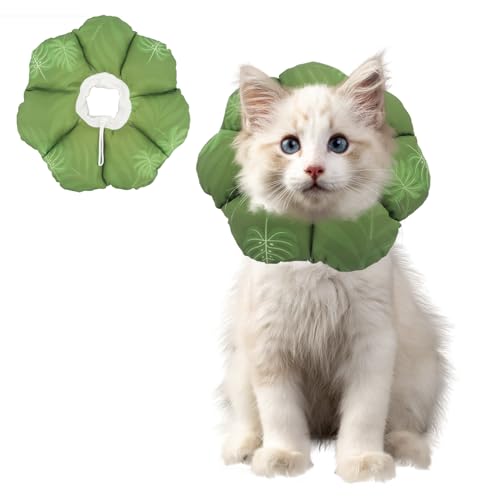 QIYADIN Weiches Katzenhalsband, verstellbare Katzen-Genesungskegel, um das Lecken von Wunden zu stoppen, wasserdichtes Haustier-Elisabethanisches Genesungshalsband für Katzen nach Operationen (grünes von QIYADIN