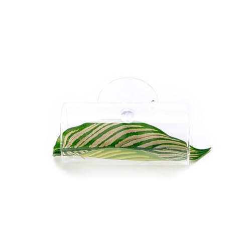 QIYUDUOLA Aquarium-Dekoration, vielseitig und bunt, künstliche Blätter für Aquarien, Terrarium QIYUDUOLA Aquarium-Dekoration, vielseitig und bunt, künstliche Blätter für Aquarien, Terrarium von QIYUDUOLA