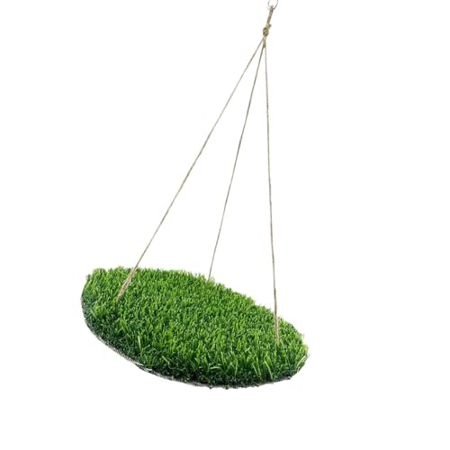 QIYUDUOLA Reptilien Eidechsen Sonnenplattform mit Kunstrasen Hängematte Kleines Haustier Kletterspielzeug Grasbrücke QIYUDUOLA Reptilien Eidechsen Sonnenplattform mit Kunstrasen Hängematte Kleines Haustier Kletterspielzeug Grasbrücke von QIYUDUOLA