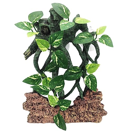 QIYUDUOLA Reptilien-Kletter-Ast Terrarium Pflanze Saugnapf Aquarien Dekoration Simulieren Wasserpflanze Reptilien Baum QIYUDUOLA Reptilien-Kletter-Ast Terrarium Pflanze Saugnapf Aquarien Dekoration Simulieren Wasserpflanze Reptilien Baum von QIYUDUOLA