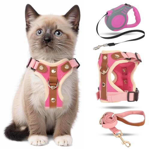 Katzengeschirr mit Leine Ausbruchsicher, Automatisch Einziehbare Katzenleine und Geschirr Katze Set, Verstellbares Katzen Geschirr Set mit Katzen Leine, Cat Harness für Kitten Hunde Katzengeschirr mit Leine Ausbruchsicher, Automatisch Einziehbare Katzenleine und Geschirr Katze Set, Verstellbares Katzen Geschirr Set mit Katzen Leine, Cat Harness für Kitten Hunde von QKTYB
