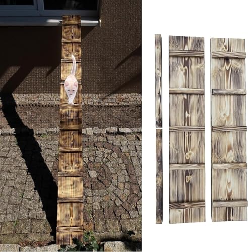 Katzenleiter Katzentreppe Geflammt Katzenstufe für Balkon Fenster mit Metallhaken 1m - 6m (Länge: 6 m) von QLS