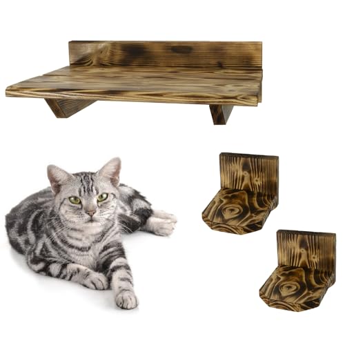 Katzenliege Kletterwand Wandmontage Katzenmöbel Klettern Katzenwand Katzentreppe Katzenstufen Set geflammt 2 Stufen + 1 Bett Katzenliege Kletterwand Wandmontage Katzenmöbel Klettern Katzenwand Katzentreppe Katzenstufen Set geflammt 2 Stufen + 1 Bett von QLS