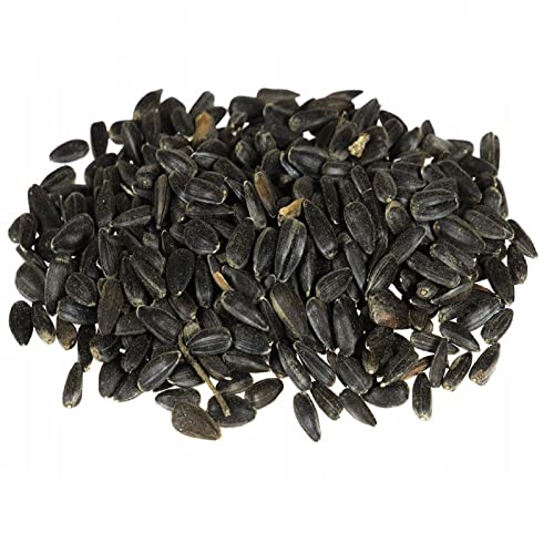 Streufutter Vogelfutter Wildvogelfutter 4 Jahreszeiten Premium Mischung 20 kg Streufutter Vogelfutter Wildvogelfutter 4 Jahreszeiten Premium Mischung 20 kg von QLS