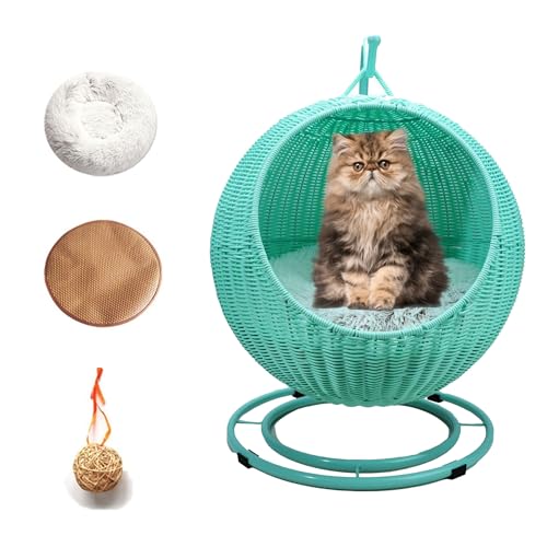 QLXYYFC Hängendes Katzen-Hängemattenbett, Katzenschaukelbett mit Abnehmbarem Kissen und Hängendem Ball, Haustier-Weidenhängematte für Kleine Hunde und Katzen Im Innen- und Außenbereich (Color : Verde von QLXYYFC