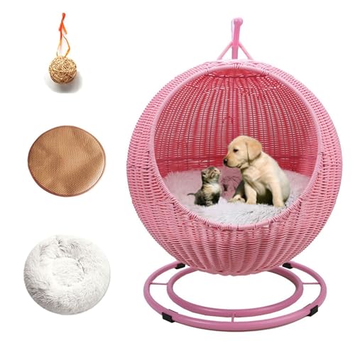 QLXYYFC Tragbares Katzenschaukelbett für Den Innen- und Außenbereich mit Abnehmbarem Kissen und Hängendem Ball, Haustierhängematte für Schlafende und Spielende Katzen und Kleine Hunde (Color : Pink, von QLXYYFC