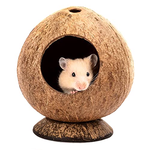 QMAAAYS Hamsterhaus, Kokosnussschalen-Vogelhaus, Lebensraum für kleine Haustiere, tropischer Stil, 12 x 12 x 13,5 cm von QMAAAYS