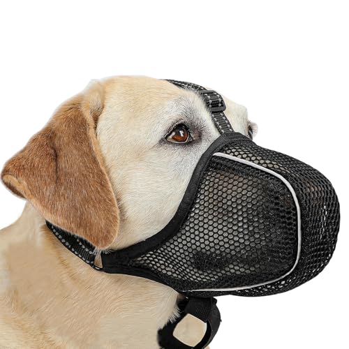 QMLING Maulkorb für große Mittlere Kleine Hunde, Reflektierend Mesh Maulkorb, Atmungsaktive Haustier Maske, Maulkörbe mit Verstellbarer Riemen Verhindert Das Beißen und Kauen (M L XL) (M) von QMLING