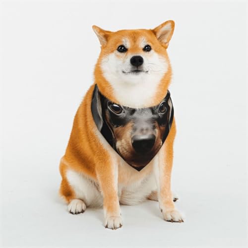 Hunde-Halstuch, Dackel, verstellbar, Haustierhalstücher für Hunde, Weihnachten, Haustier-Schal, Dreieck-Lätzchen, Halstuch, weich, atmungsaktiv, Welpen-Bandana für kleine, mittelgroße und große Katzen Hunde-Halstuch, Dackel, verstellbar, Haustierhalstücher für Hunde, Weihnachten, Haustier-Schal, Dreieck-Lätzchen, Halstuch, weich, atmungsaktiv, Welpen-Bandana für kleine, mittelgroße und große Katzen von QMNEHJ