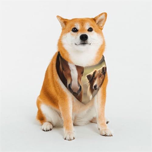 Hundehalstuch, Collie, Hund und Pferd, verstellbar, Haustierhalstücher für Hunde, Weihnachten, Haustier-Schal, Dreieck-Lätzchen, Halstuch, weich, atmungsaktiv, Welpen-Bandana für kleine, mittelgroße von QMNEHJ