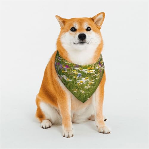 Hundehalstuch, Frühlingswiese, Blumen, verstellbare Haustierhalstücher für Hunde, Weihnachten, Haustier-Schal, Dreieck-Lätzchen, Halstuch, weich, atmungsaktiv, Welpen-Bandana für kleine, mittelgroße Hundehalstuch, Frühlingswiese, Blumen, verstellbare Haustierhalstücher für Hunde, Weihnachten, Haustier-Schal, Dreieck-Lätzchen, Halstuch, weich, atmungsaktiv, Welpen-Bandana für kleine, mittelgroße von QMNEHJ