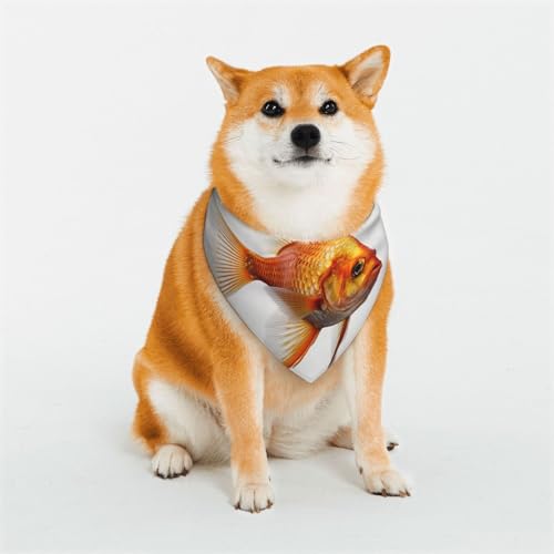 Hundehalstuch, Motiv: echter Fisch, verstellbar, Haustierhalstücher für Hunde, Weihnachten, Haustier-Schal, Dreieck-Lätzchen, Halstuch, weich, atmungsaktiv, Welpen-Bandana für kleine, mittelgroße und Hundehalstuch, Motiv: echter Fisch, verstellbar, Haustierhalstücher für Hunde, Weihnachten, Haustier-Schal, Dreieck-Lätzchen, Halstuch, weich, atmungsaktiv, Welpen-Bandana für kleine, mittelgroße und von QMNEHJ