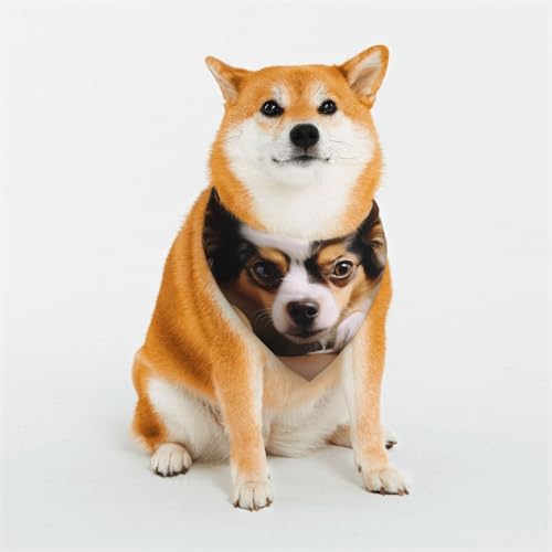 Hundehalstuch, Papillon, liegend auf dem Bauch, verstellbar, Haustierhalstücher für Hunde, Weihnachten, Haustier-Schal, Dreieck-Lätzchen, Halstuch, weich, atmungsaktiv, Welpen-Bandana für kleine, Hundehalstuch, Papillon, liegend auf dem Bauch, verstellbar, Haustierhalstücher für Hunde, Weihnachten, Haustier-Schal, Dreieck-Lätzchen, Halstuch, weich, atmungsaktiv, Welpen-Bandana für kleine, von QMNEHJ